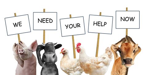 Animals Unite: WSPA's Mascot Search Ignites Community Support